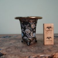 加茂黒 / 万年青鉢 /（3.5号）A-153