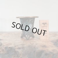 万年青鉢 /（3.0号）A-12