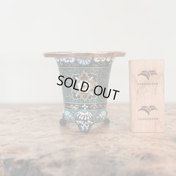 画像1: 万年青鉢 /（3.0号）A-8