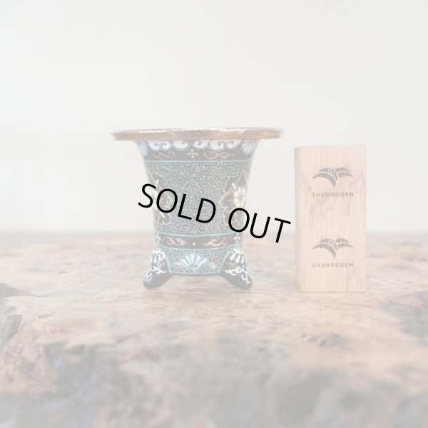 画像2: 万年青鉢 /（3.0号）A-8