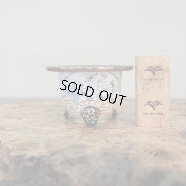 画像1: 万年青鉢 / ショートサイズ / （3.3号）A-118