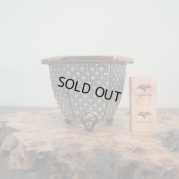 画像1: 万年青鉢 / 六角 / 加茂黒 / ワイドサイズ / （5.0号）A-188