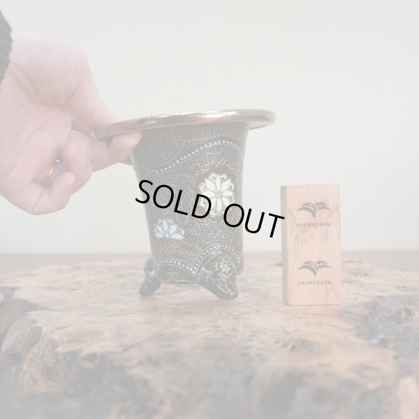 画像3: 万年青鉢 /（4.0号）A-88