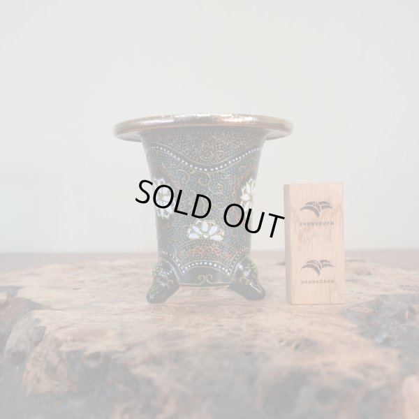 画像2: 万年青鉢 /（4.0号）A-88