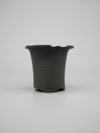 N/OH / 万年青鉢 / XS （3.0~3.3号）/02
