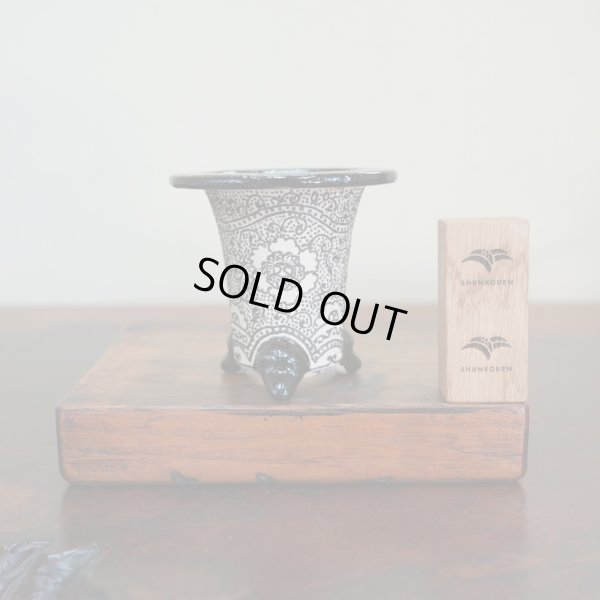 画像1: 万年青鉢 /（3.3号）/ 176