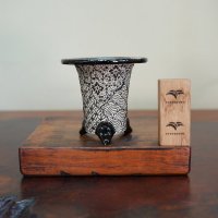 万年青鉢 /（3.5号）/ 189