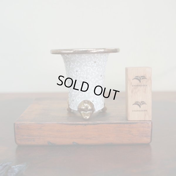 画像1: 万年青鉢 /（3.5号）/ 209