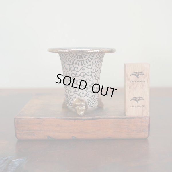 画像1: 万年青鉢 /（3.5号）/ 17