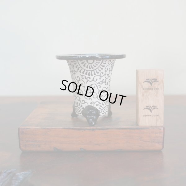 画像1: 万年青鉢 /（3.3号）/ 174