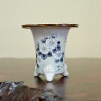 万年青鉢 /（3.3号）/ 71