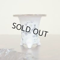 万年青鉢 /（3.3号）/ 71