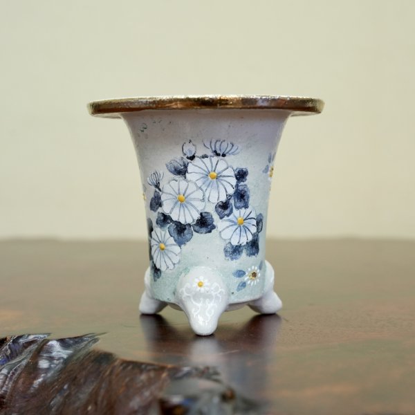 画像1: 万年青鉢 /（3.3号）/ 71
