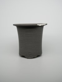 N/OH / 万年青鉢 / XS （3.0~3.3号）/15