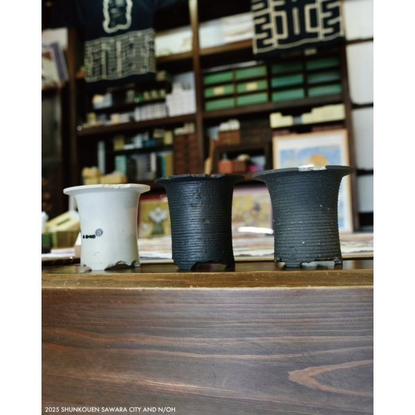 画像7: N/OH / 万年青鉢 / XS （3.0~3.3号）/04