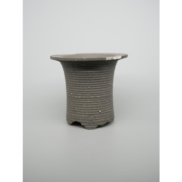 画像1: N/OH / 万年青鉢 / XS （3.0~3.3号）/13