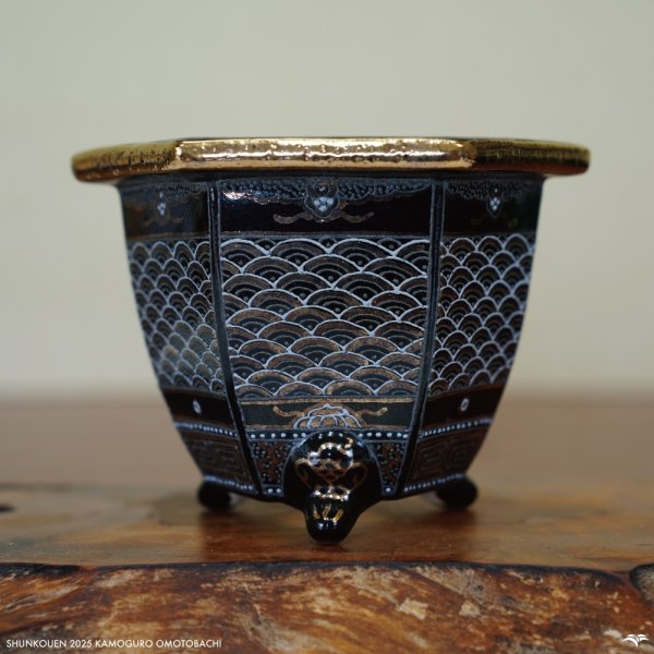 画像1: 万年青鉢 / 六角 / 加茂黒 / ワイドサイズ / （4.3号）A-187