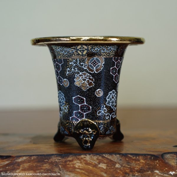 画像1: 加茂黒 / 万年青鉢 /（3.3号）A-178