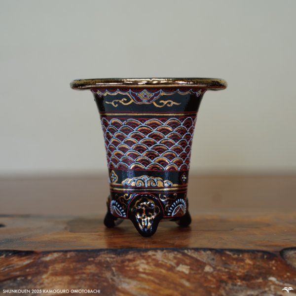 画像1: 加茂黒 / 万年青鉢 /（3.0号）A-164