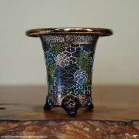 加茂黒 / 万年青鉢 /（3.5号）A-152