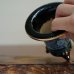 画像5: 加茂黒 / 万年青鉢 /（3.5号）A-155 (5)