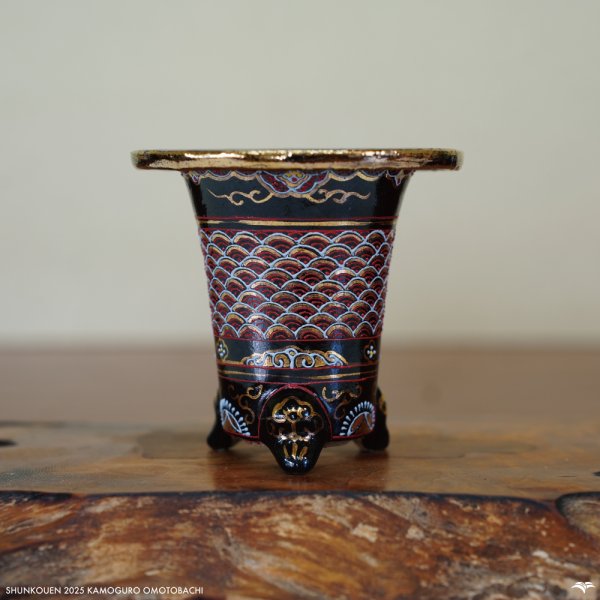 画像1: 加茂黒 / 万年青鉢 /（3.0号）A-162