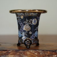 加茂黒 / 万年青鉢 /（3.5号）A-153