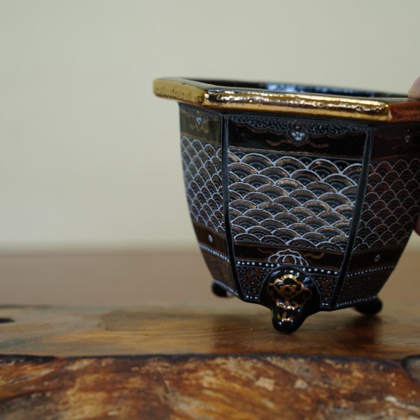 画像4: 万年青鉢 / 六角 / 加茂黒 / ワイドサイズ / （4.3号）A-187