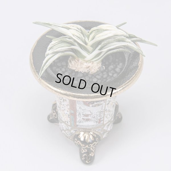 画像4: 1.双天（割子）