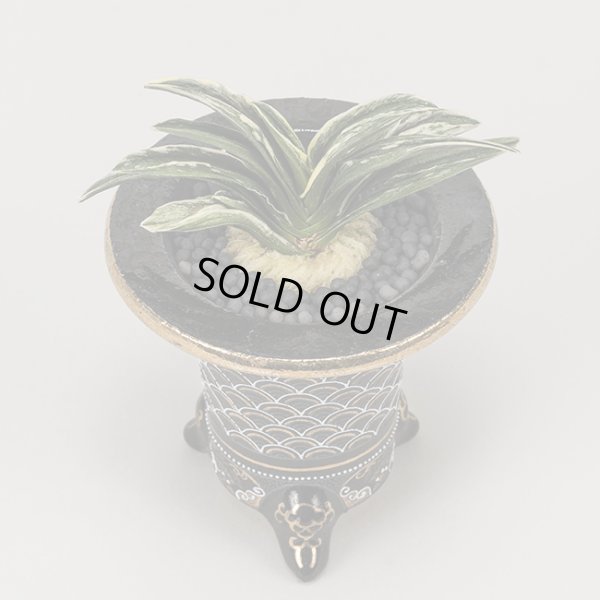 画像5: 9.聖雲殿（芋吹き）