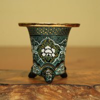 万年青鉢 /（3.0号）/ 5