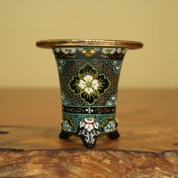 万年青鉢 /（3.3号）/ 16