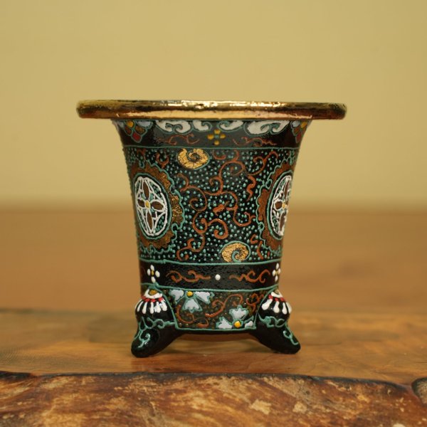 画像2: 万年青鉢 /（3.0号）/ 9