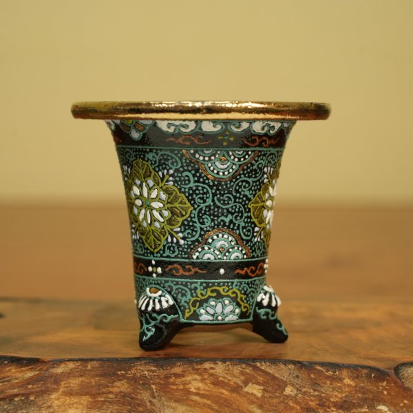 画像2: 万年青鉢 /（3.0号）/ 8