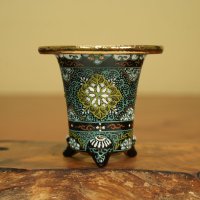 万年青鉢 /（3.0号）/ 8