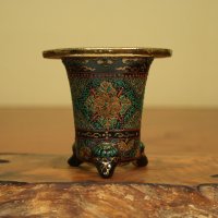 万年青鉢 /（3.3号）/ 24