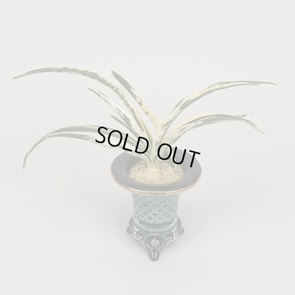 画像5: 11.地球宝