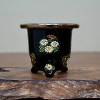 万年青鉢 / ワイドサイズ / （8.5cm × 10cm）/ 214