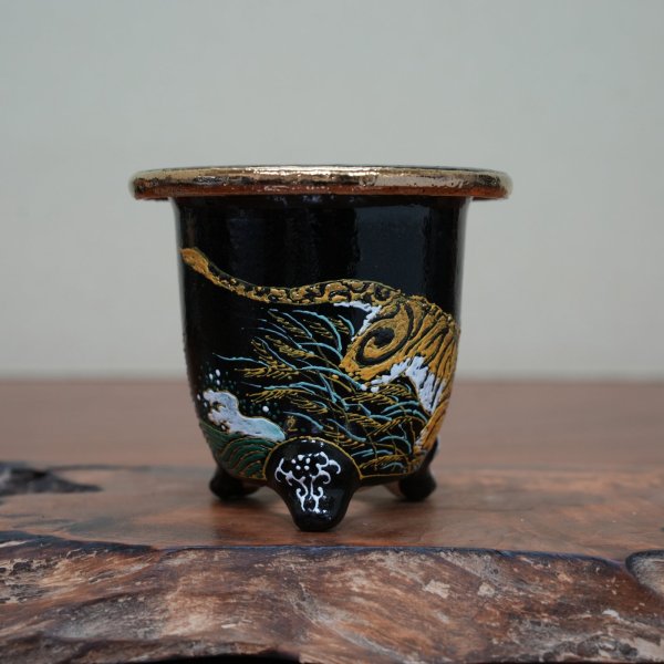 画像2: 万年青鉢 / ワイドサイズ / （10.5cm × 10.8cm）/ 225