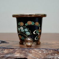 万年青鉢 / ワイドサイズ / （9.5cm × 11cm）/ 217