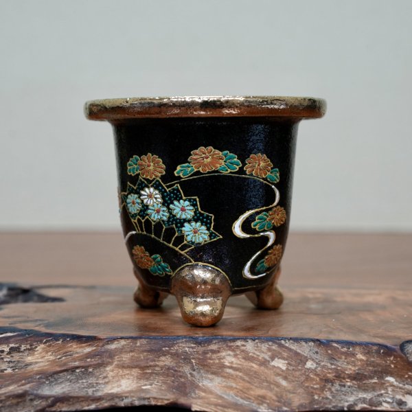 画像1: 万年青鉢 / ワイドサイズ / （9.5cm × 11cm）/ 217