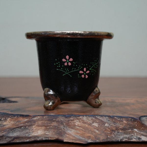 画像2: 万年青鉢 / ワイドサイズ / （9.5cm × 10.5cm）/ 216