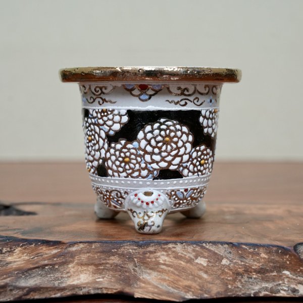 画像1: 万年青鉢 / ワイドサイズ / （9.5cm × 10.5cm）/ 224