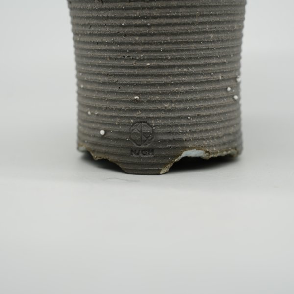 画像3: 【引っ越し万年青】N/OH / Glay ＋ 福包 