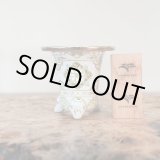 画像: 万年青鉢 /（3.0号）A-40