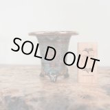 画像: 万年青鉢 /（3.3号）A-24