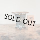 画像: 万年青鉢 /（3.3号）A-31