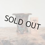 画像: 万年青鉢 /（3.3号）A-28