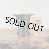 画像: 万年青鉢 /（3.0号）A-17