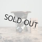 画像: 万年青鉢 /（3.8号）A-102